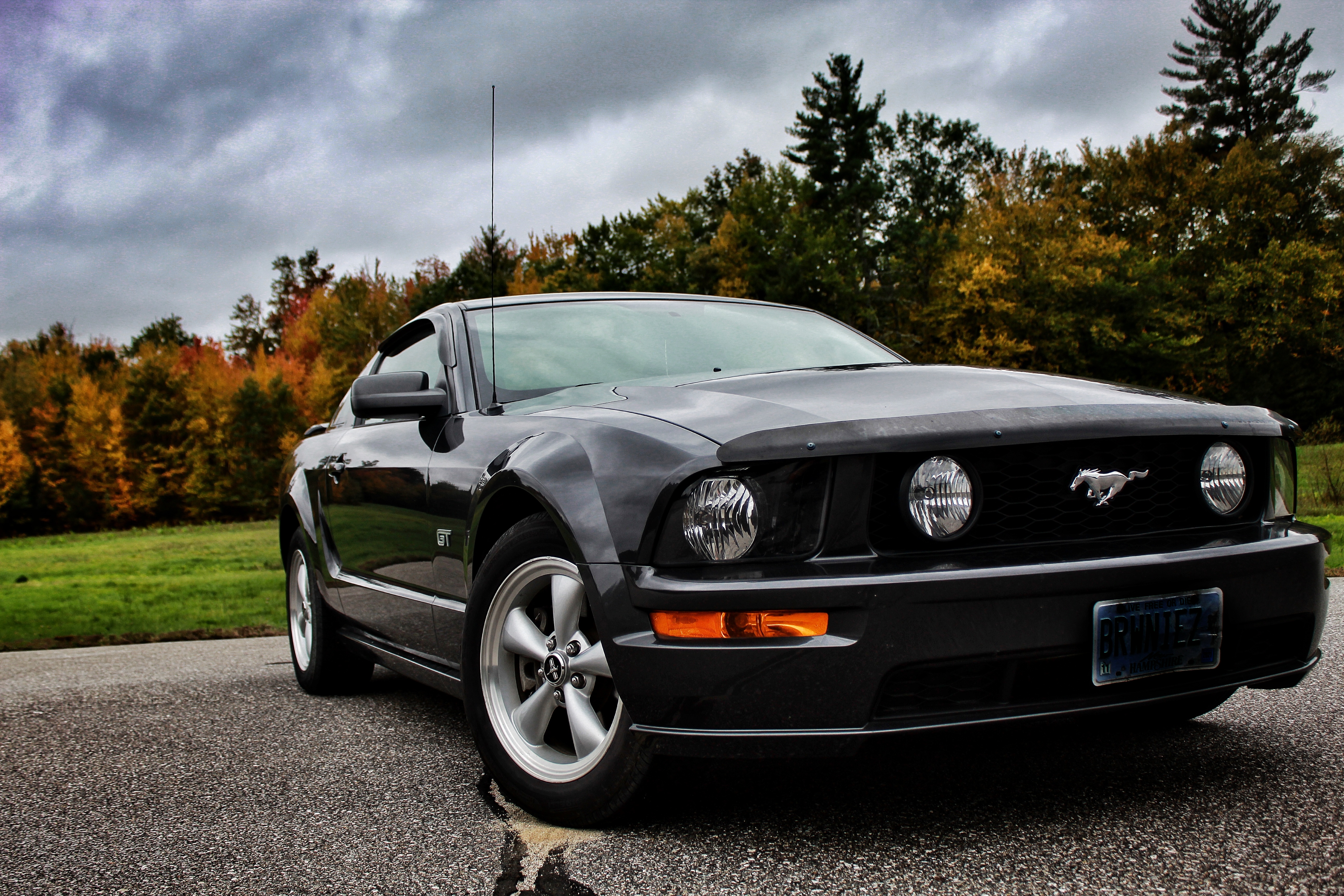 pass_front_mustang[1]